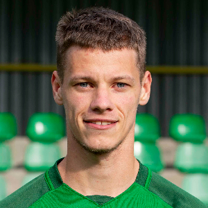 Dominik Tomšů