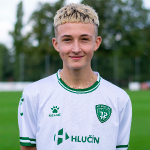 Denis Kubis