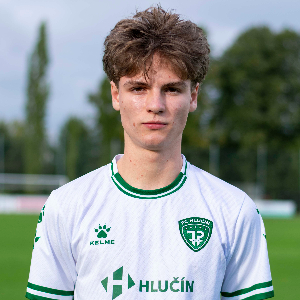 Martin Lébl